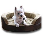 Cozy Beds, Blankets & Mats
