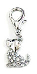 Crystal Charms