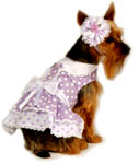 Dress Harnesses