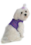 Vest Harnesses