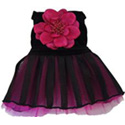 Fuchsia Flower  Evening Gown